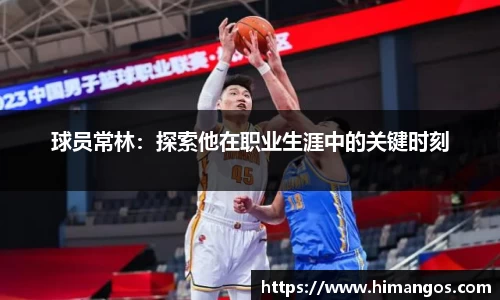 k体育